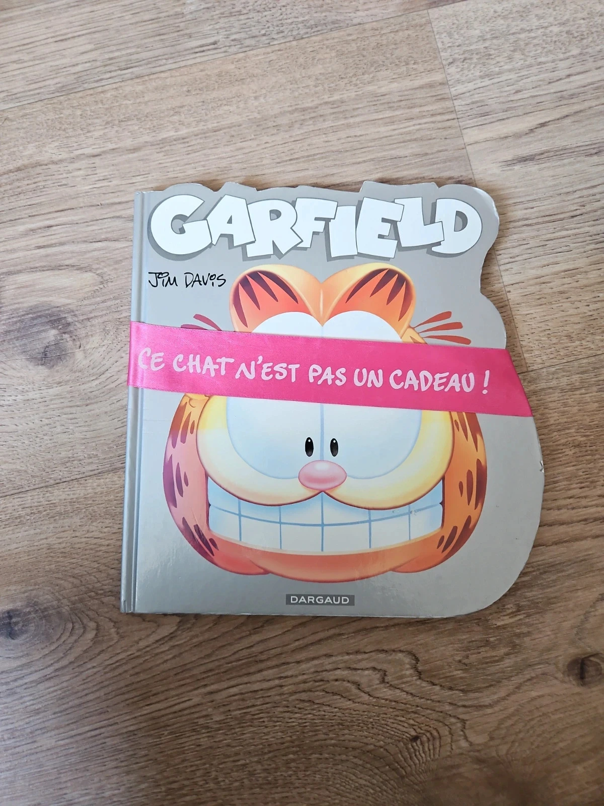 BD Garfield ce chat n'est pas un cadeau